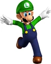 SM64DS Artwork Luigi.jpg