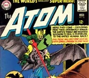 Bat-Knights (Earth-One)