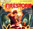 Fury of Firestorm Vol 1 3