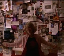 Wall of Weird