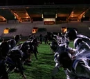Metropolis Sharks