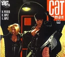 Catwoman Vol 3 60