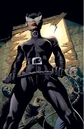 Catwoman 0076.jpg