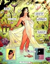 Wonder Woman 0213.jpg