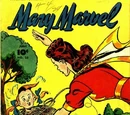 Mary Marvel Vol 1 25