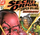 Secret Origins of Super-Villains 80-Page Giant Vol 1 1