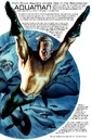 Aquaman Justice 001.jpg