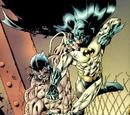 Batman Chronicles Gallery Vol 1 1/Images