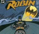 Robin Vol 4 14