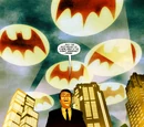 Batman Incorporated