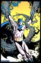 Batman 0210.jpg