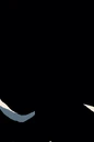 Countdown Presents Superwoman Batwoman 001.jpg
