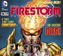 Fury of Firestorm Vol 1 14
