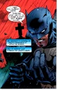 Batman 0356.jpg