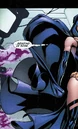 Raven 003.jpg