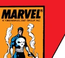Punisher Vol 2 22