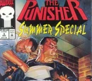 Punisher Summer Special Vol 1 3