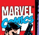Punisher Vol 2 41