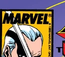 Marvel Comics Presents Vol 1 25