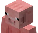 Pigmen
