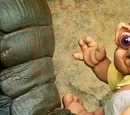 Baby Sinclair