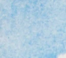 The Muppet Movie (soundtrack)