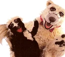 Stinky the Skunk