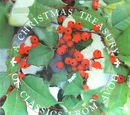 A Christmas Treasury of Classics from Avon