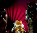 Episode 107: Ditz and Datz / Mummies
