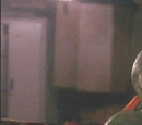 Michaelangelo