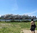 Socrates Sculpture Park
