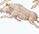 Warthog