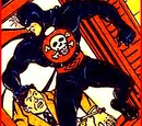 Black Fury (Hero)