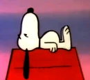 Snoopy's doghouse
