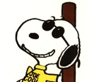 Joe Cool