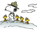 Snoopy's Beagle Scouts
