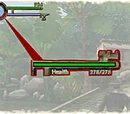 Health