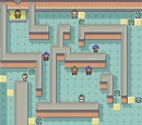 Viridian City Gym