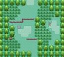 Hoenn Route 101