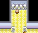Mauville City Gym