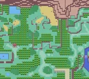 Hoenn Safari Zone