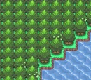 Lake Verity
