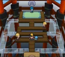 Johto Gyms