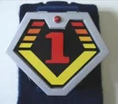 Goggle Brace