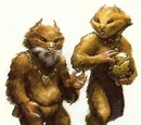 Drall (espécie)