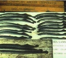 Lamprey