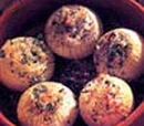 Baked Onions with Nut Stuffing