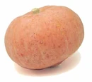 Golden nugget squash