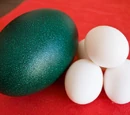 Emu egg
