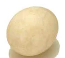 Duck egg